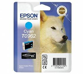 Epson T0962 (C13T09624010)