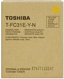 �������� ��� ��������� �������� Toshiba Toshiba �����   T-FC31EYN