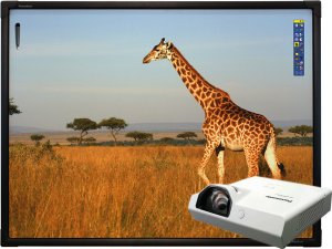 Интерактивный комплект Promethean Интерактивная доска ActivBoard Touch 78 Dry Erase 10 касаний, ПО ActivInspire в комплекте с проектором Panasonic PT-TX350 и настенным креплением Интерактивный комплект Promethean Интерактивная доска ActivBoard Touch 78 Dry Erase 10 касаний, ПО ActivInspire в комплекте с проектором Panasonic PT-TX350 и настенным креплением