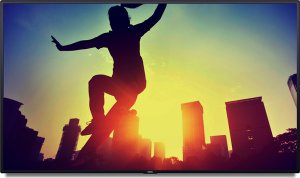 �������������� ������  Nec MultiSync V404