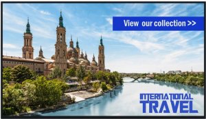 Информационная панель Panasonic TH-43SF2E Информационная панель Panasonic TH-43SF2E