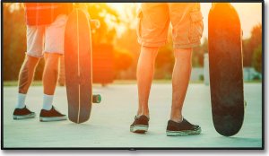 �������������� ������  Nec MultiSync V984Q