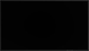 Vivitek -   NovoDisplay 55&quot; DK550