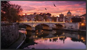 �������������� ������  Samsung QB49R