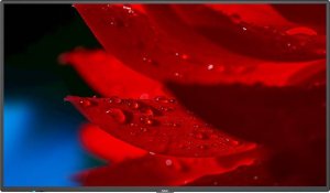 �������������� ������  Nec MultiSync MA551