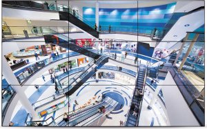 Diello      VW-5509LH