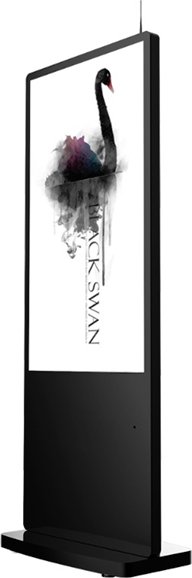 Goodview L55H10C 55&quot; PCAP kiosk