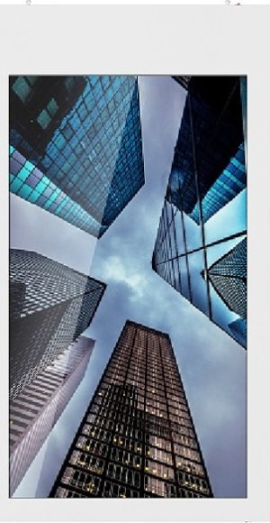 Goodview      D55H1 55&quot; double-sided DS display