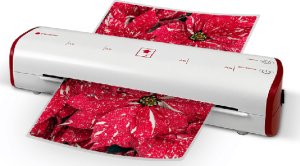 �������� ��������� ������ �� A4 ������ �����+�������