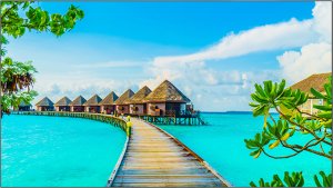 �������������� ������  Elittech EliteBoard PK557FDLN, ��� ���������, 55" FHD, ��������� ������� ����� 1.8 ��