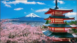 Информационная панель Elittech EliteBoard PK555FFLN, для видеостен, 55" FHD, суммарная толщина рамок 0.88 мм Информационная панель Elittech EliteBoard PK555FFLN, для видеостен, 55" FHD, суммарная толщина рамок 0.88 мм