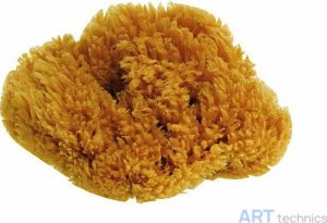 Материал для реставрации Deffner & Johann Натуральная губка, диам. 17-18 см Материал для реставрации Deffner & Johann Натуральная губка, диам. 17-18 см