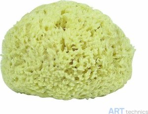 Материал для реставрации Deffner & Johann Натуральная губка Premium, диам. 19 см Материал для реставрации Deffner & Johann Натуральная губка Premium, диам. 19 см