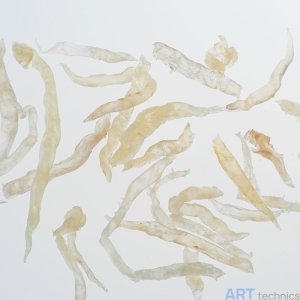 �������� ��� ����������� Deffner & Johann ������� ���������� ����, 1 �