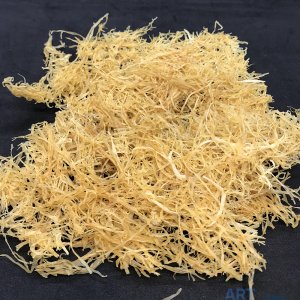 ART Technics   Fu-Nori, 100 