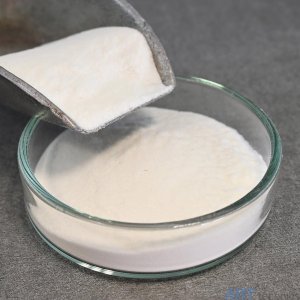 Tylose     Tylose MH 1000 P2