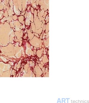 Реставрация переплета J Hewit & Sons Ltd Мраморная бумага JHS, 3015 Реставрация переплета J Hewit & Sons Ltd Мраморная бумага JHS, 3015