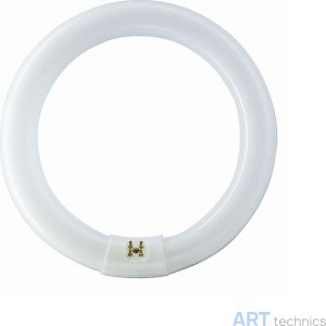 ������������� ������������  ��������� �������������� �����, 22 ��