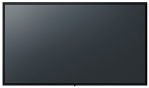 Panasonic TH-55CQE1W