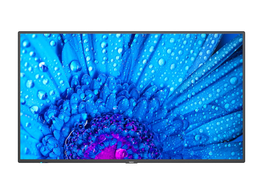 Nec MultiSync M651